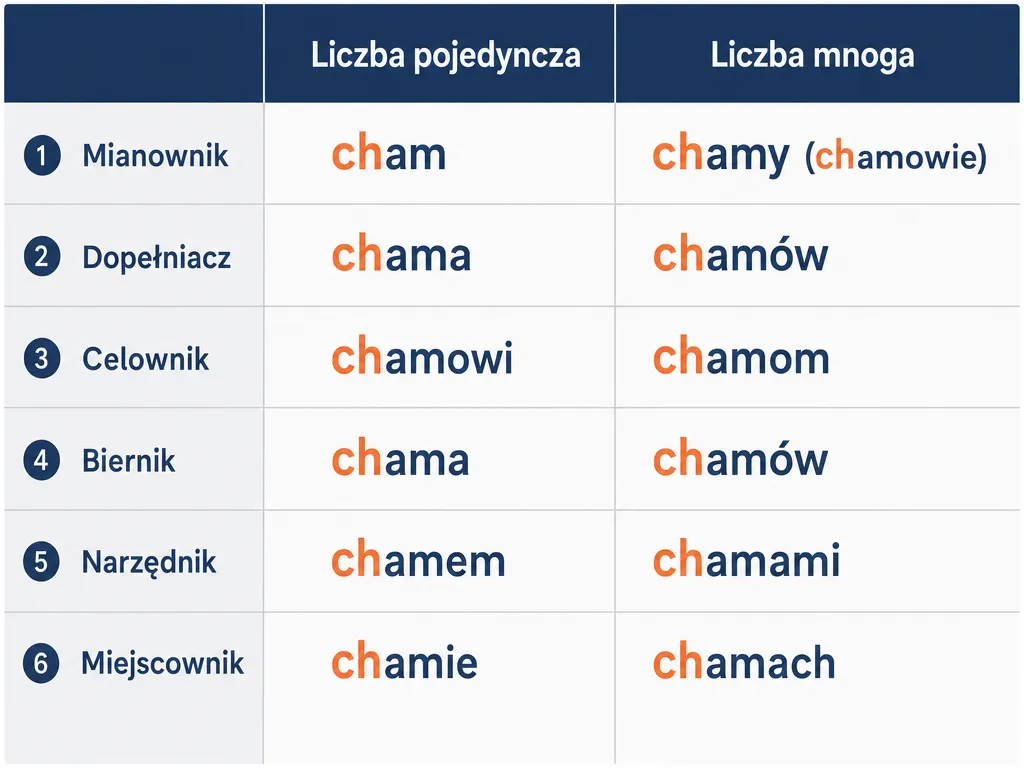 Wizualizacja odmiany słowa cham przez przypadki w liczbie pojedynczej i mnogiej z podkreśleniem rdzenia ch